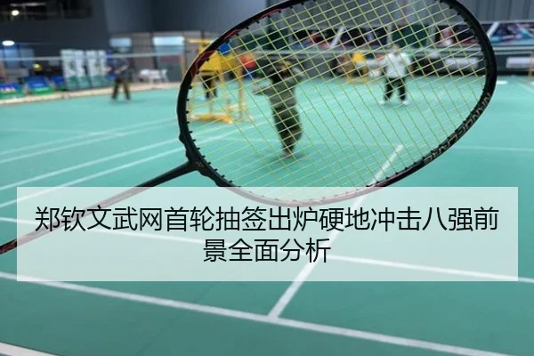 郑钦文武网首轮抽签出炉硬地冲击八强前景全面分析（stock）